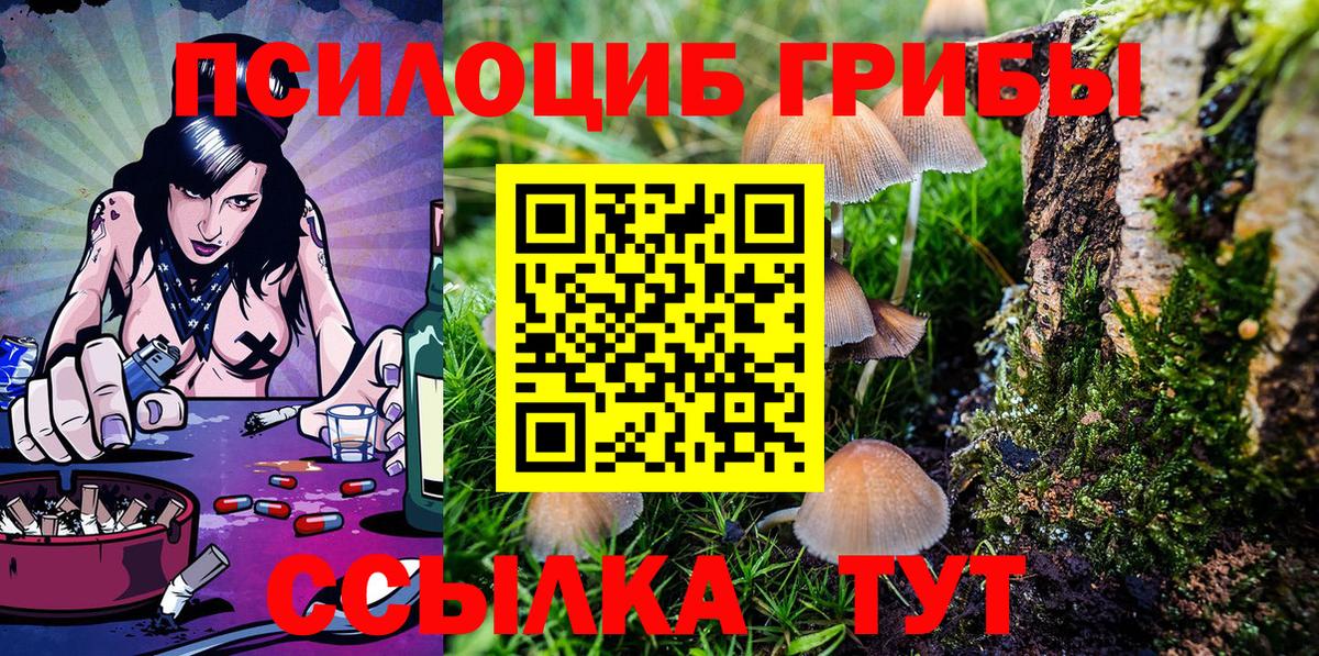 Псилоцибиновые грибы Psilocybe Шебекино